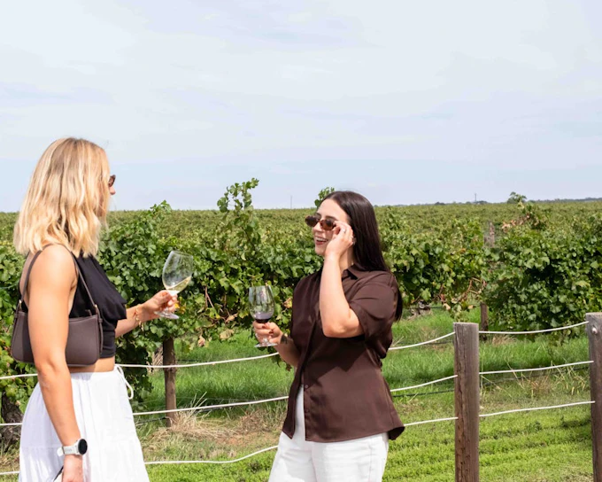 1/2 Day McLaren Vale Wine Tasting & Coast (Afternoon Tour)
