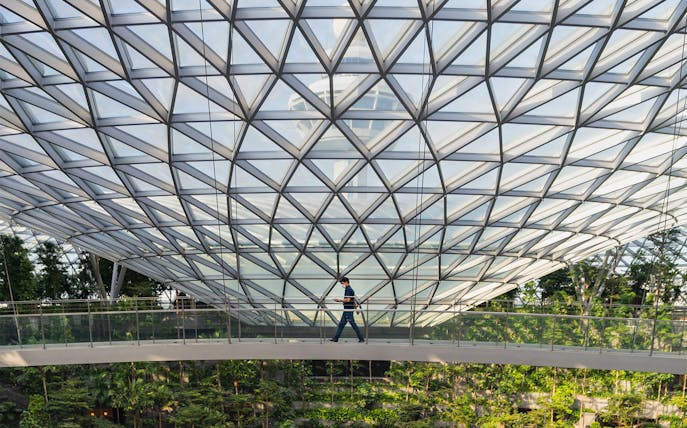Person walking on a glass bridge inside Jewel Changi Airport, Singapore, with lush greenery below.