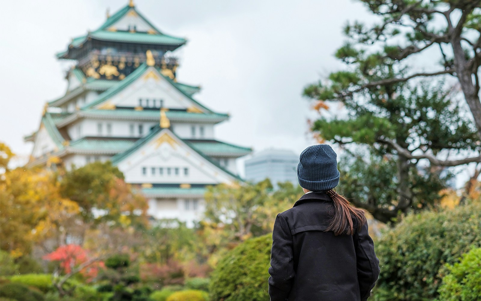 Visitor admiring Osaka Castle surrounded by autumn foliage.