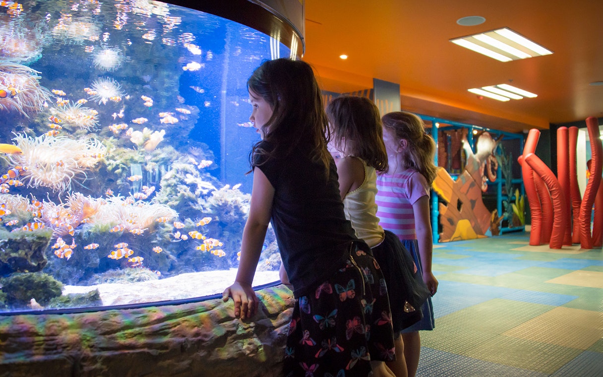 Children observing clownfish at SEA LIFE Kelly Tarlton's Aquarium, Auckland.