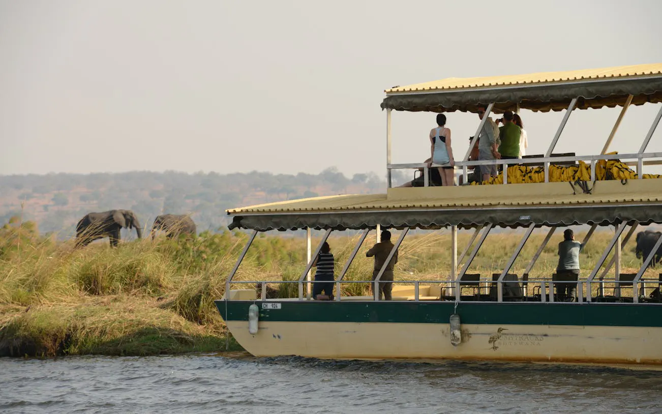 Chobe River Boat Safari with Wildlife Viewing, Lunch, and Transfers