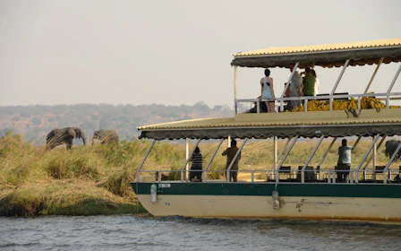 Chobe River Boat Safari with Wildlife Viewing, Lunch, and Transfers