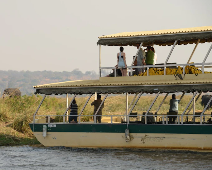 Chobe River Boat Safari with Wildlife Viewing, Lunch, and Transfers