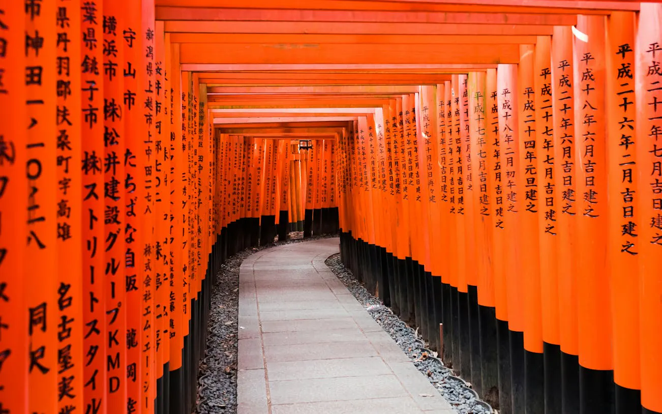Kyoto Early Morning Walking Tour of Fushimi Inari Shrine and Tofukuji Temple Image 6