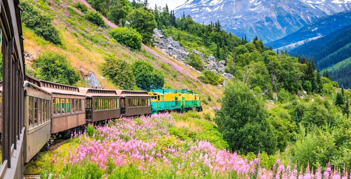 Train on White Pass & Yukon Route Railroad through Skagway, Alaska, with mountain and wildflowers.