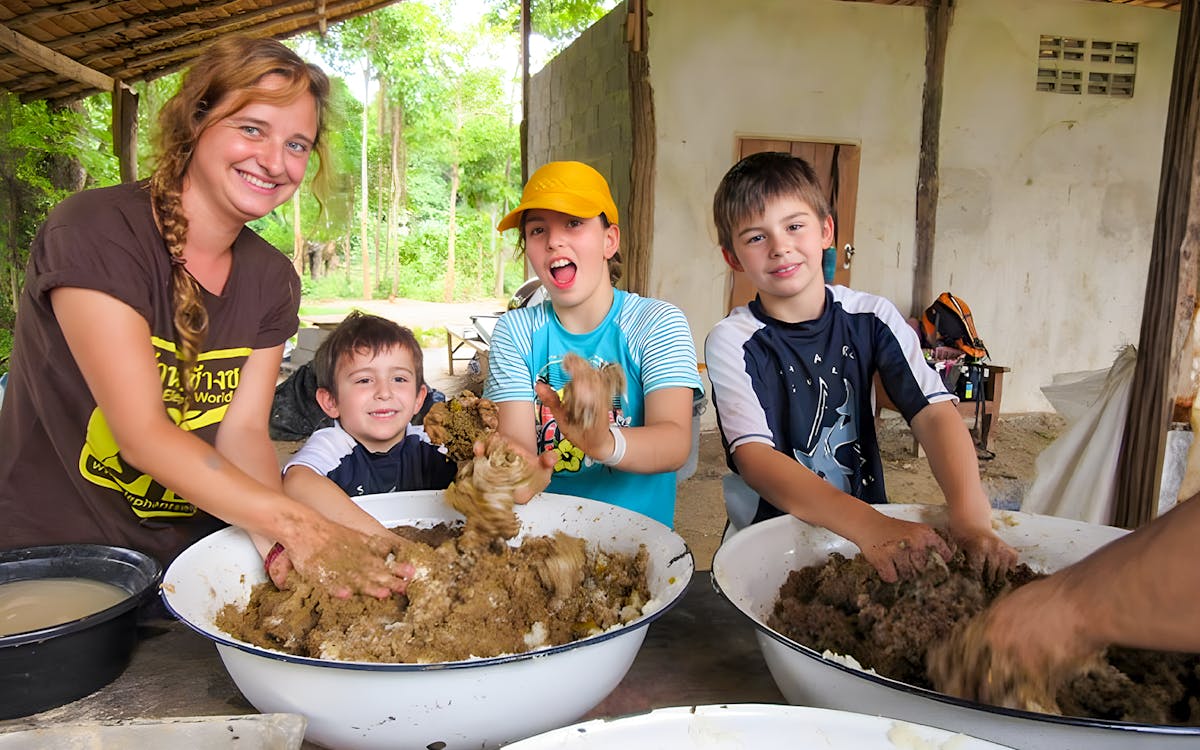 day tour of elephants world camp in kanchanaburi with hotel transfers & meals-6 day tour of elephants world camp in kanchanaburi with hotel transfers & meals-6