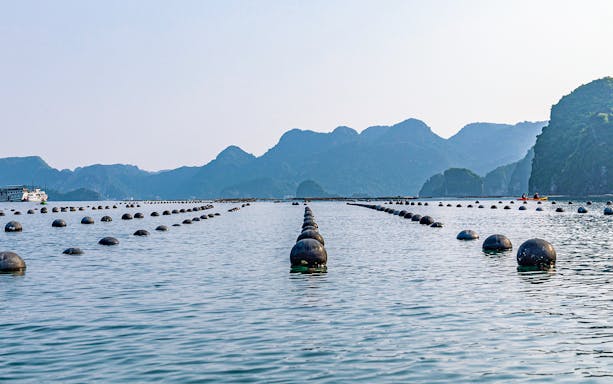 Floating buoys in Halong Bay with limestone karsts in the background, seen from Ha Long Phoenix Cruise.
