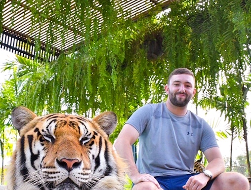 Tiger resting with visitor at Tiger Park, surrounded by lush greenery.