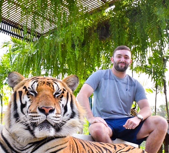 Tiger resting with visitor at Tiger Park, surrounded by lush greenery.