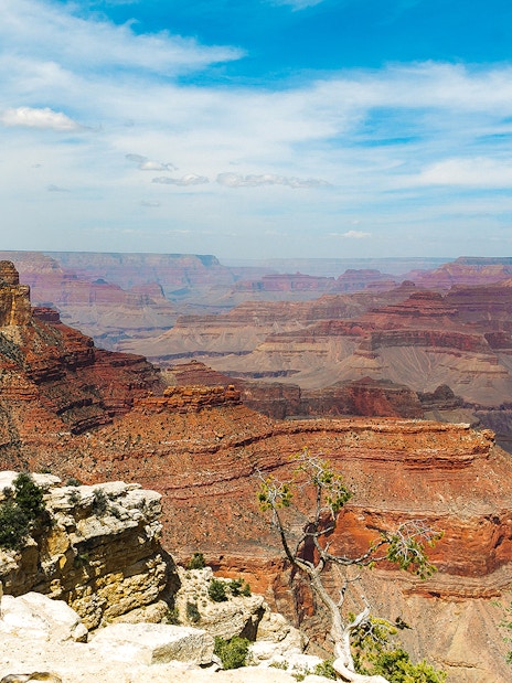 North Grand Canyon view with layered rock formations under a blue sky.