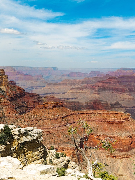 North Grand Canyon view with layered rock formations under a blue sky.