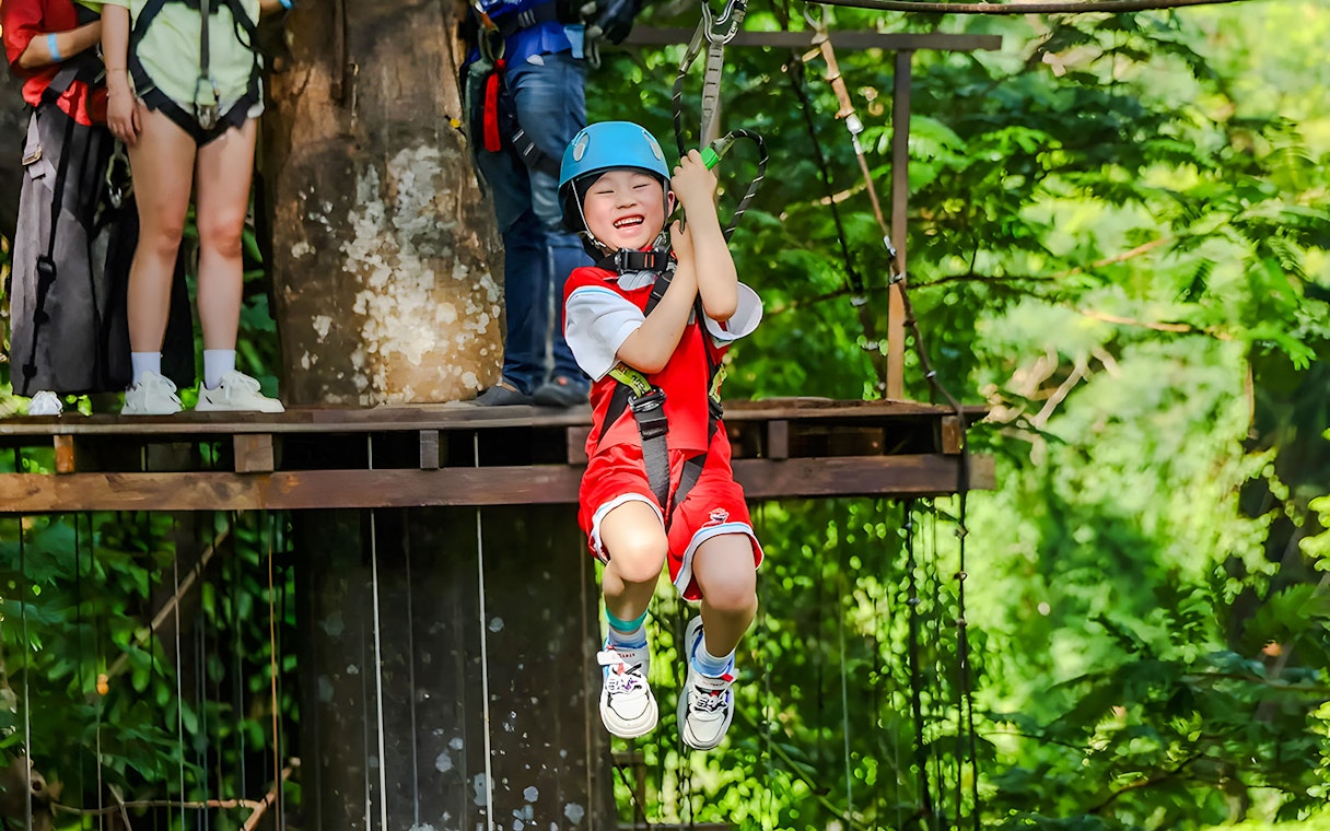 Child ziplining through a forest adventure park.