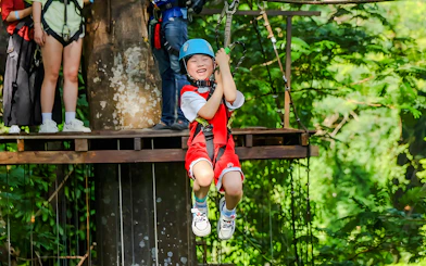 Child ziplining through a forest adventure park.