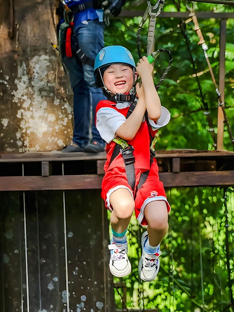 Child ziplining through a forest adventure park.
