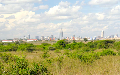 Nairobi skyline viewed from Nairobi National Park with savannah foreground.