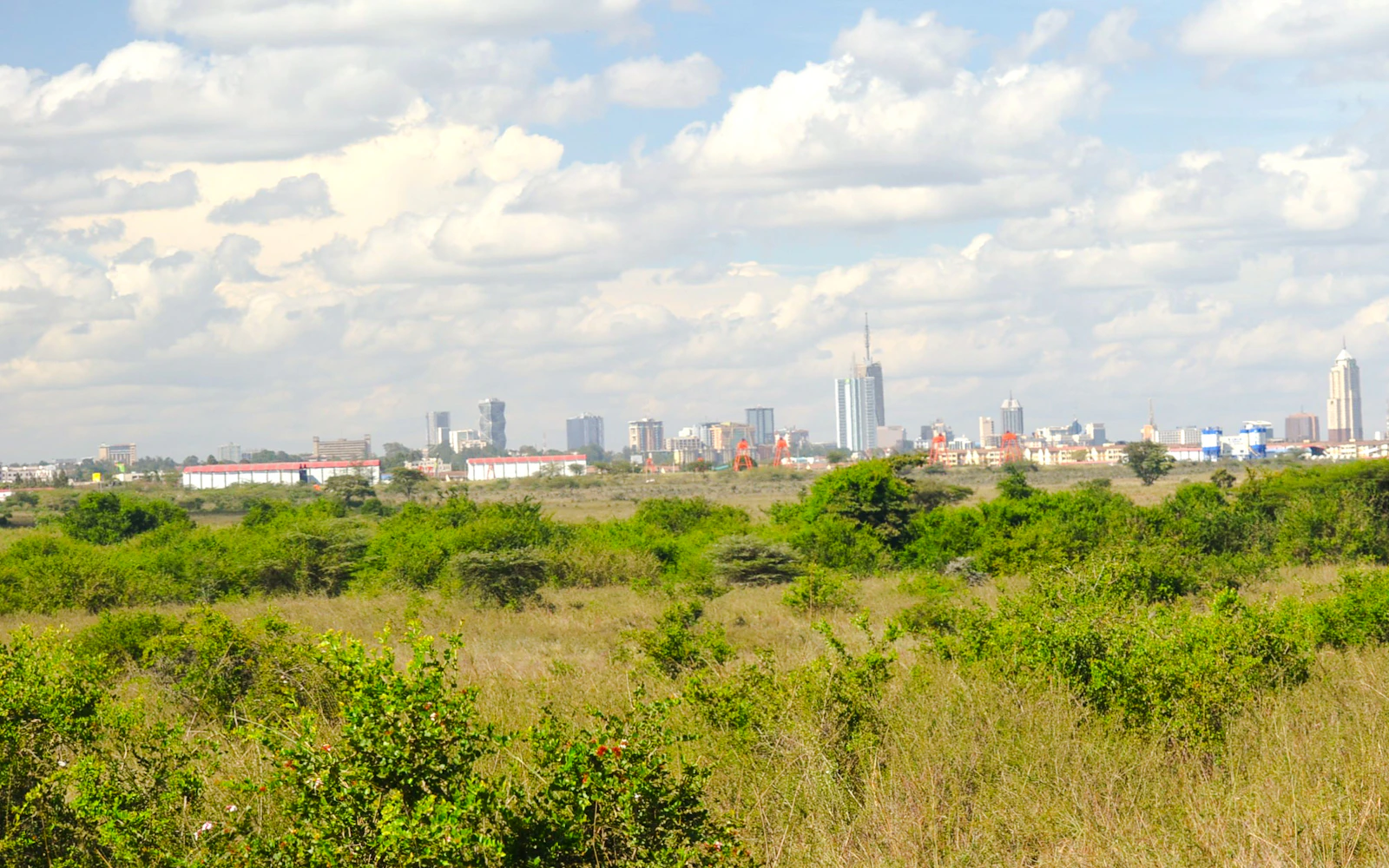 From Nairobi: Private Nairobi National Park Tour (Product 56582)