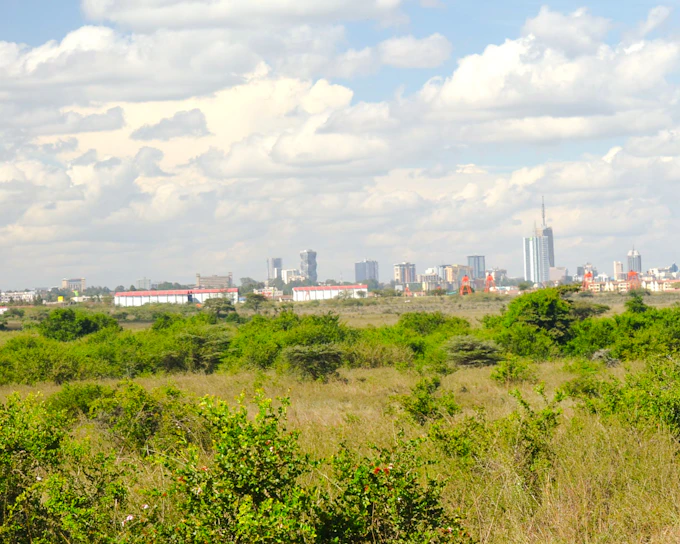 From Nairobi: Private Nairobi National Park Tour (Product 56582)