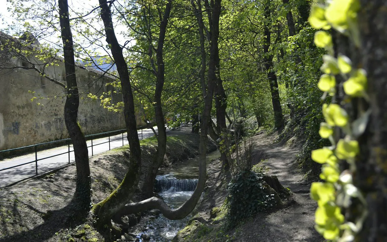 Pathway along a stream in a wooded area, Brasov city exploration game.
