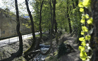Pathway along a stream in a wooded area, Brasov city exploration game.