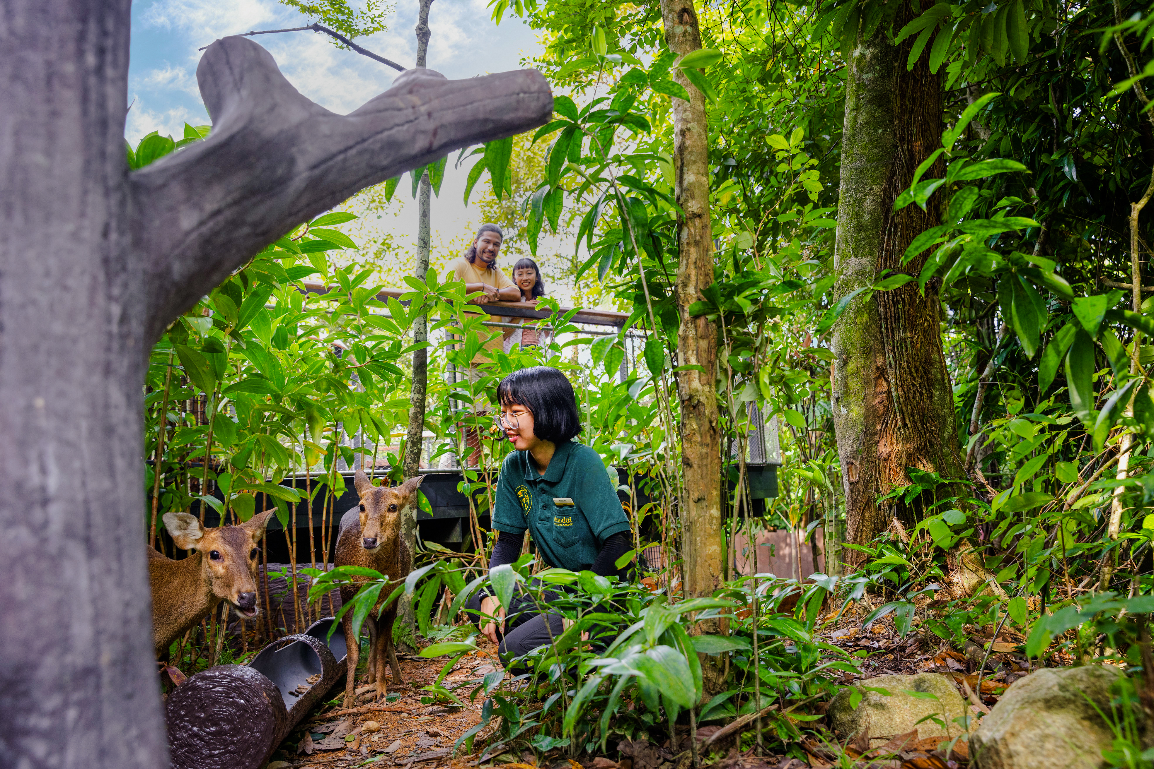 Ranger engaging with deer on forest floor during a guided talk.