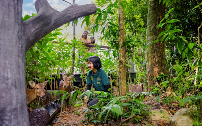 Ranger engaging with deer on forest floor during a guided talk.