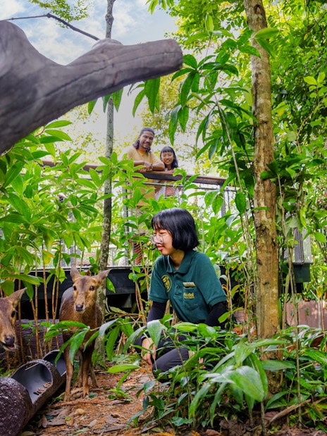 Ranger engaging with deer on forest floor during a guided talk.