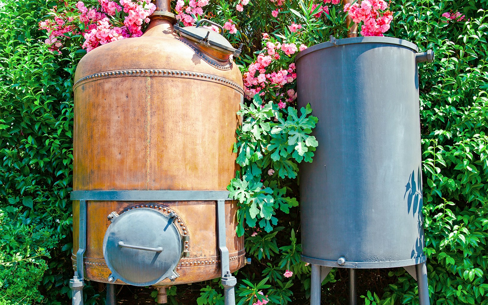 Fragonard Tours in Nice