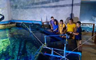 Visitors observing aquatic life at Angkor Wildlife & Aquarium, Siem Reap.