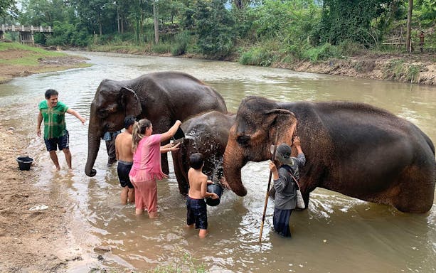Tourists bathing elephants in a river surrounded by lush greenery.