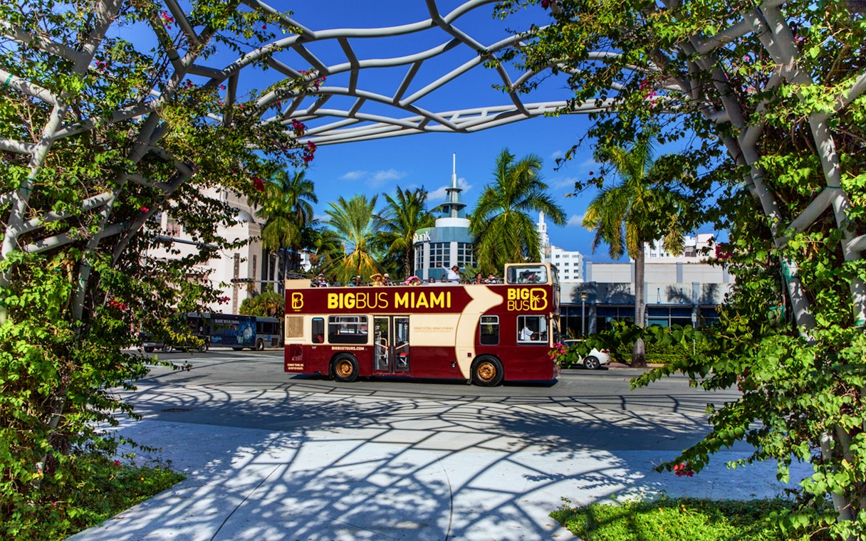Big Bus Miami tour passing through a palm-lined street with modern architecture.