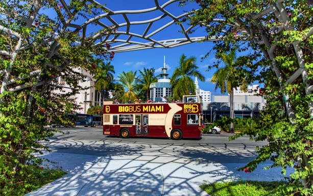Big Bus Miami tour passing through a palm-lined street with modern architecture.