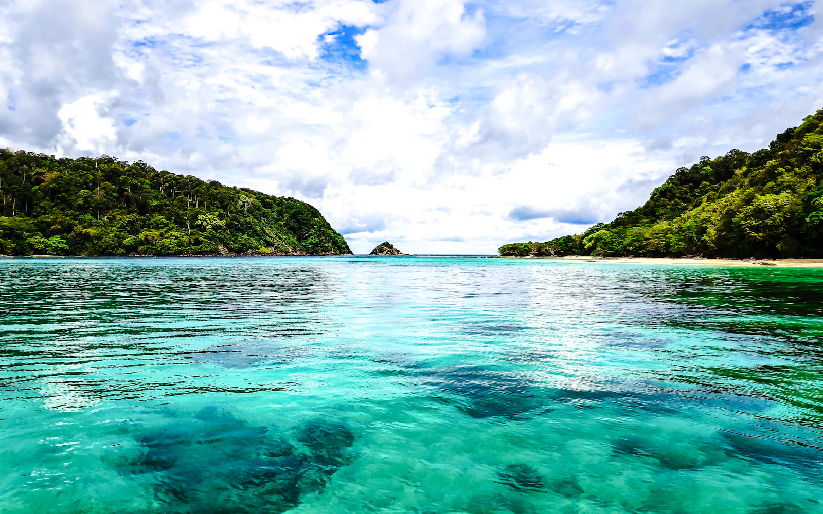From Koh Lanta: Koh Rok & Koh Haa Speedboat Snorkeling Tour With Lunch Buffet Image 3