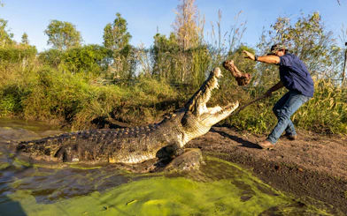 Crocodile feeding demonstration at Finniss River during Top End Safari Camp Day Tour from Darwin.