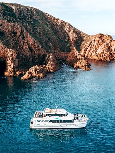 Croisières à Phillip Island