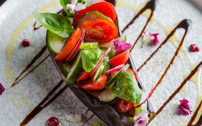 Gourmet salad of tomatoes, cucumbers, radishes, basil in eggplant shell at Aljibe Tango Show.