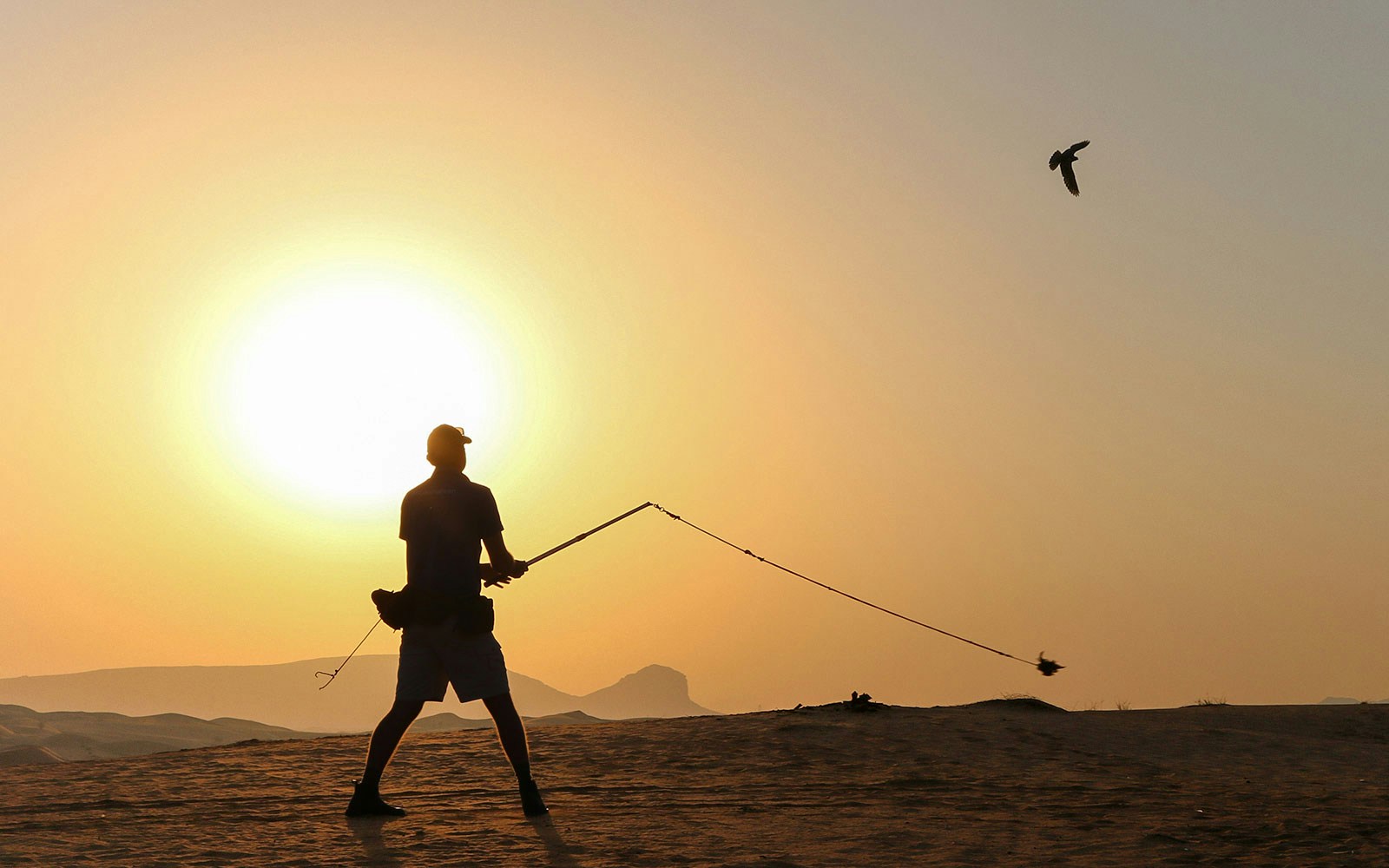 Person flying a falcon at sunrise in the desert during a safari.