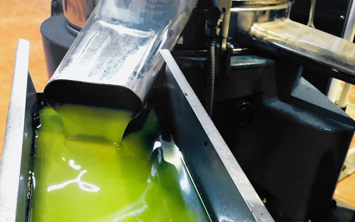 Olive oil flowing from a machine at Navarro García outlet in Granada.