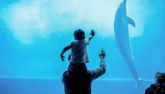 Genoa Aquarium Experiences