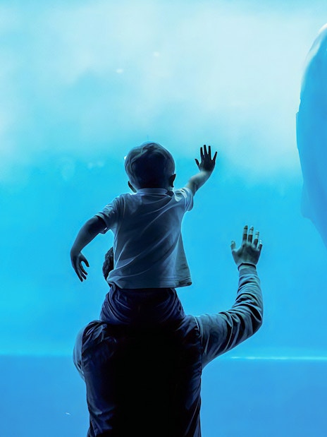 Father and child watching dolphin at Genoa Aquarium.