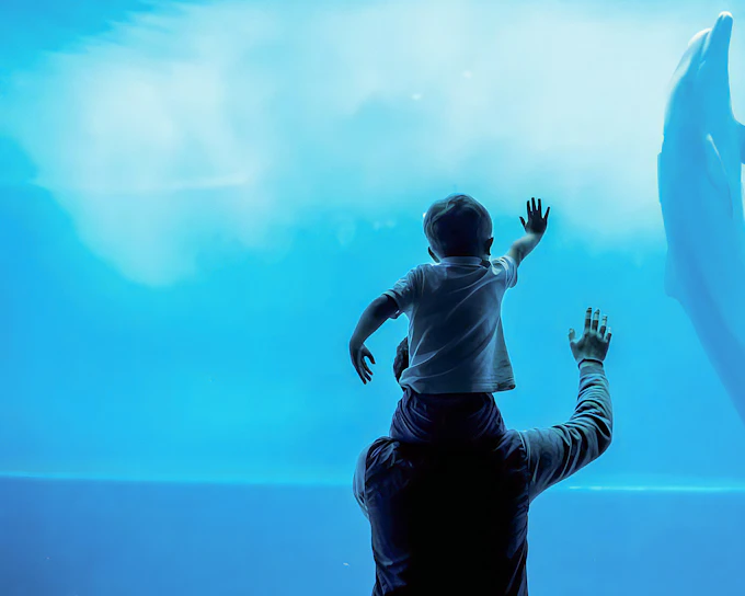 Combo: Genoa Aquarium Tickets + Pelagos Sanctuary Whale Watching Cruise