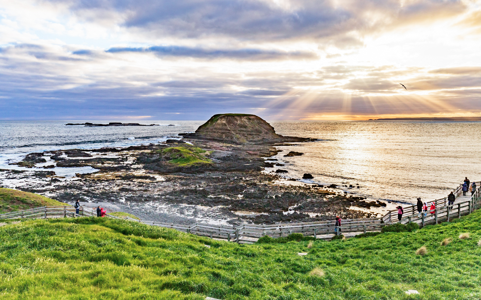 Nobbies Lookout And Boardwalk