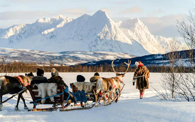 Reindeer Sledding & Sami Culture Guided Tour with Hot Drinks & Meal