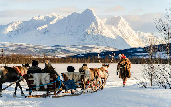 Reindeer Sledding & Sami Culture Guided Tour with Hot Drinks & Meal