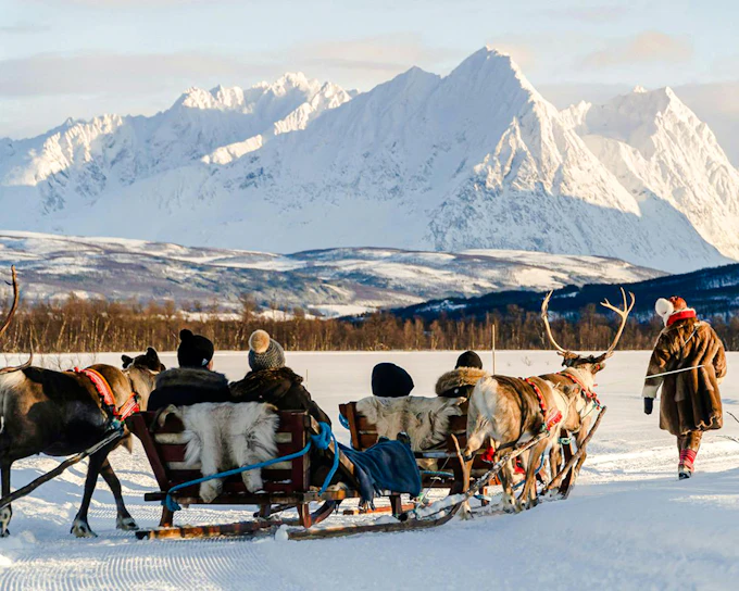 Reindeer Sledding & Sami Culture Guided Tour with Hot Drinks & Meal