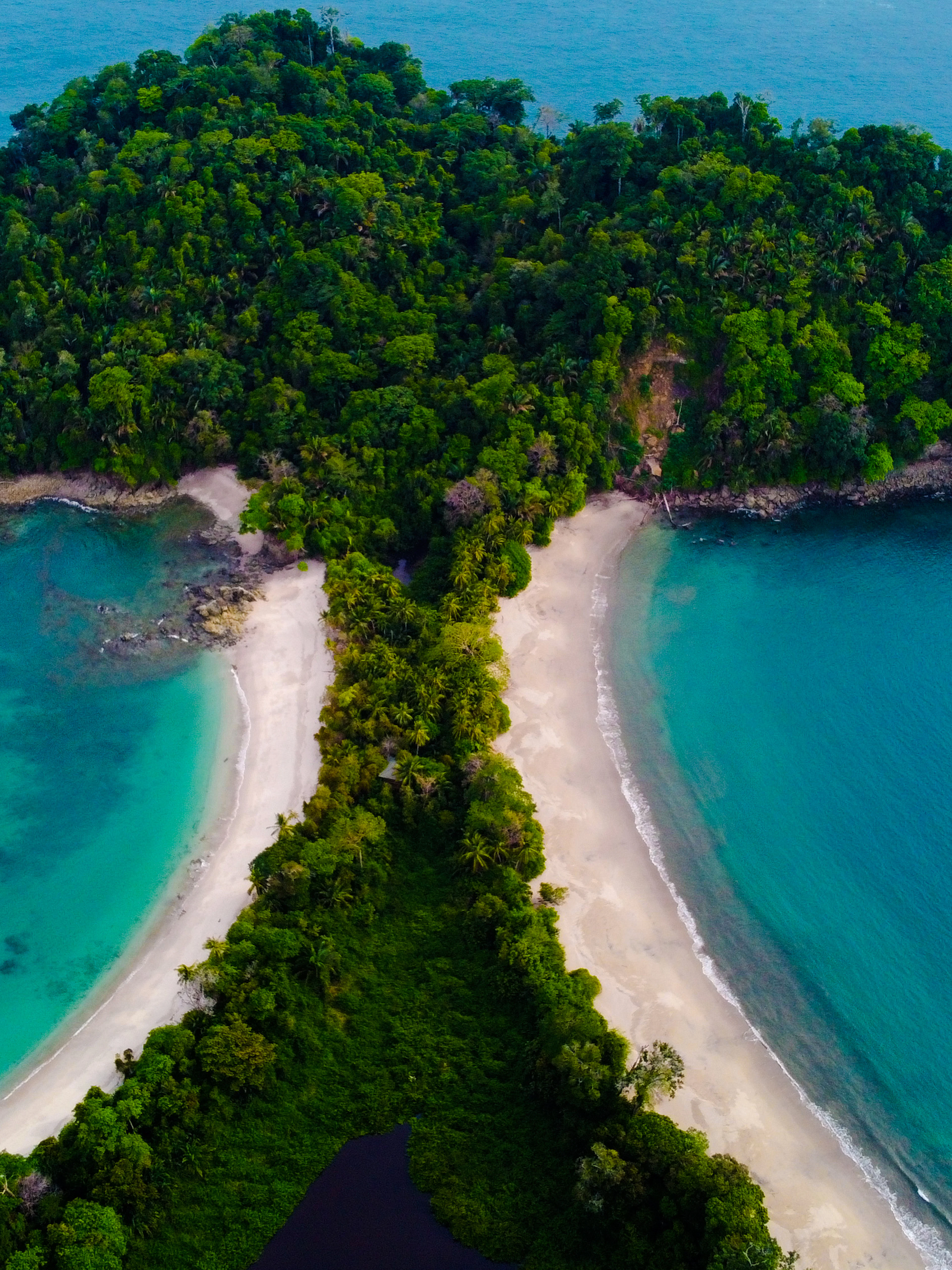 manuel antonio national park guided tour with entry ticket & beach access-1