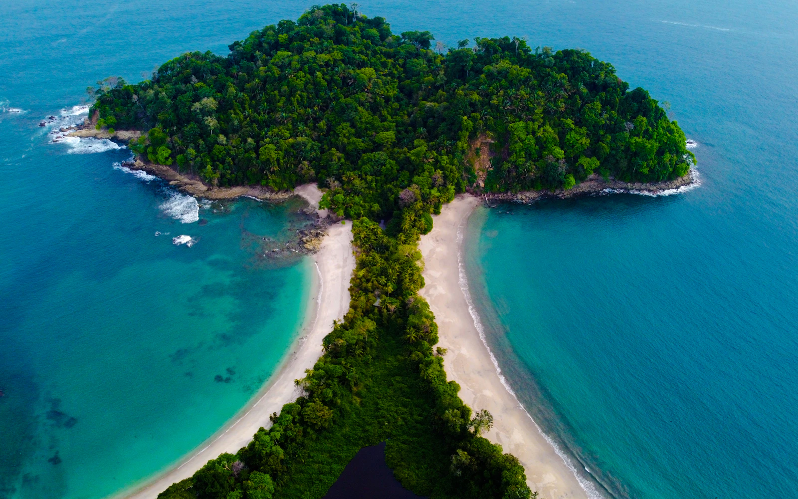 Manuel Antonio National Park: Guided Tour with TICKET INCLUDED