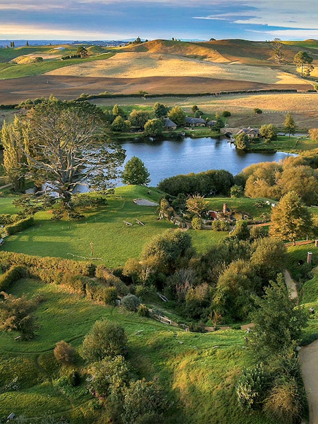 Hobbiton Movie Set landscape with lush greenery and winding paths, seen on Auckland private tour.