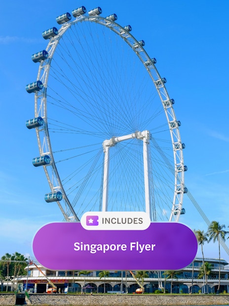 Singapore Flyer observation wheel against a clear blue sky.