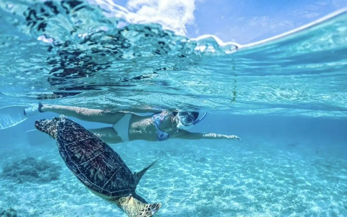 Snorkeler swimming with sea turtle in clear waters of Miyako, Okinawa.