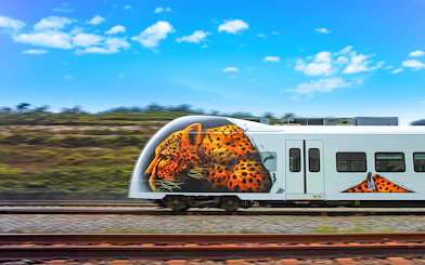 KLIA Ekspres train with leopard artwork traveling on tracks under a blue sky.